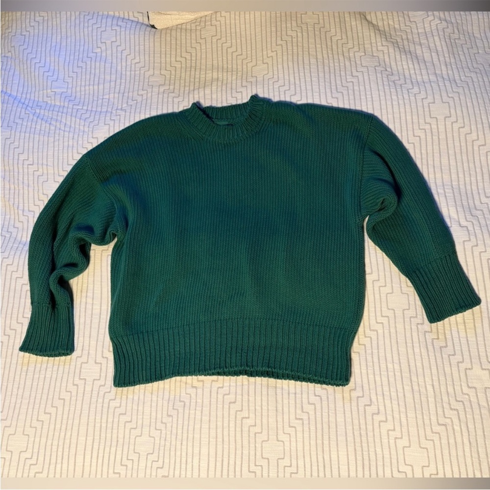 Babaa no 51 tree fern - Picture 2 of 2